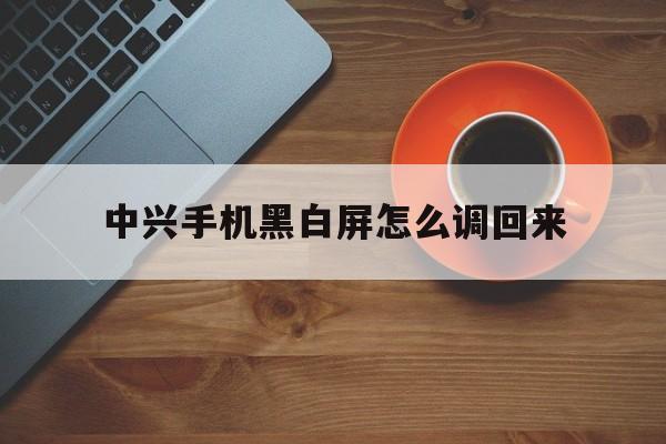 中兴手机黑白屏怎么调回来（中兴手机变成黑白屏是怎么回事）