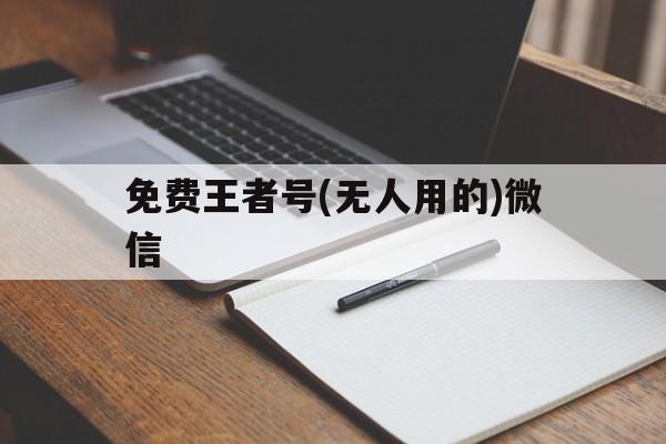 免费王者号(无人用的)微信（王者号免费微信号）