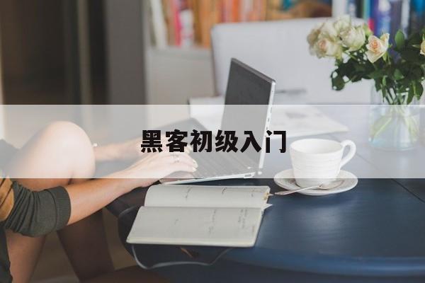 黑客初级入门（黑客初级入门看什么书）