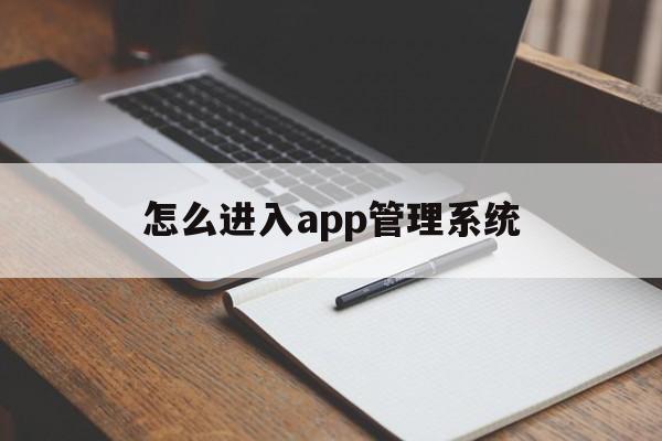 怎么进入app管理系统（APP管理系统）