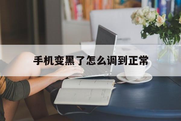 手机变黑了怎么调到正常（小米手机变黑了怎么调到正常）