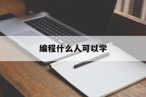 编程什么人可以学（学编程可以学到什么）