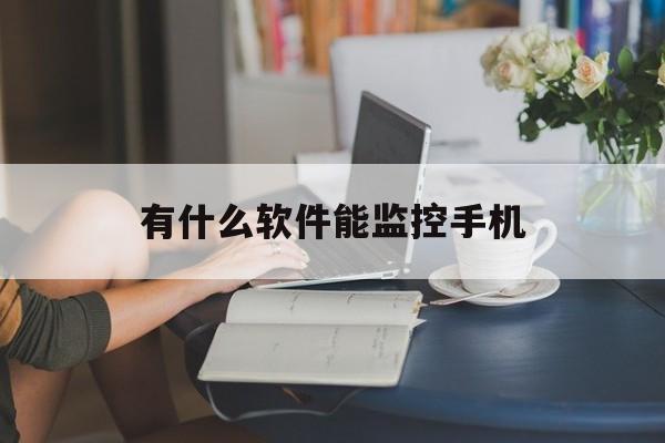 有什么软件能监控手机（有什么软件能监控手机刷新率）