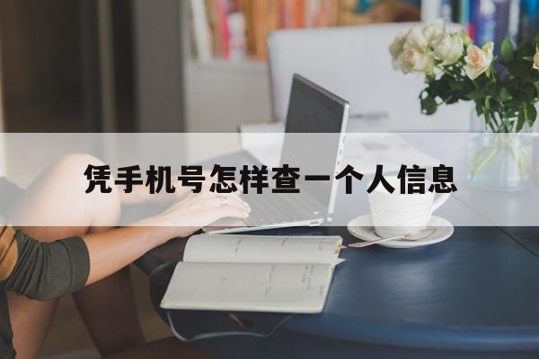 凭手机号怎样查一个人信息（通过手机号可以查出一个人什么信息）