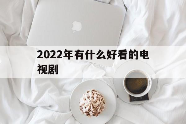 2022年有什么好看的电视剧（2022年有什么好看的电视剧电影）