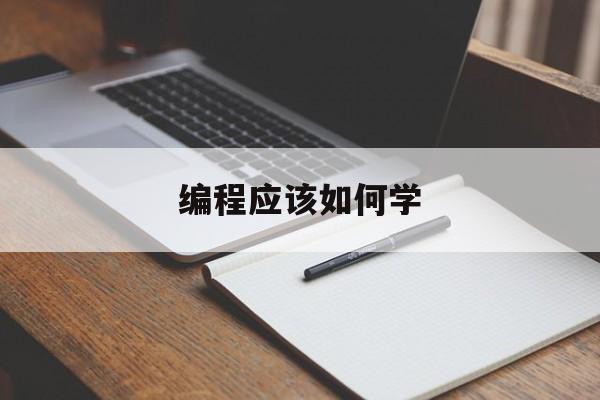 编程应该如何学（如何学编程）