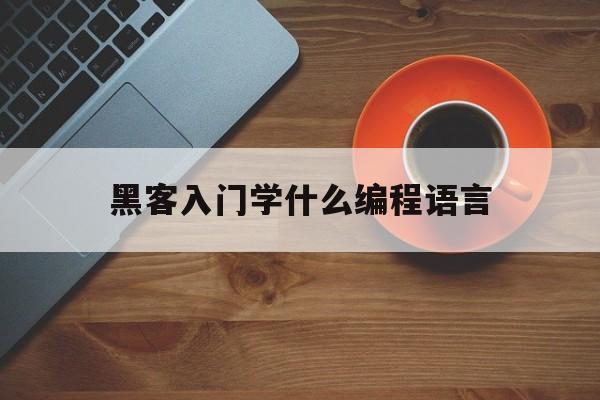 黑客入门学什么编程语言（黑客都是用什么编程语言）