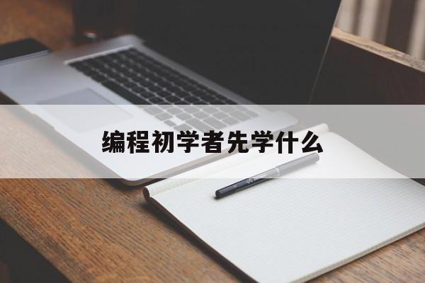 编程初学者先学什么（编程初学者先学什么语言）