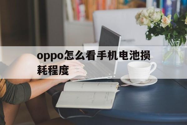 oppo怎么看手机电池损耗程度（oppo怎么查看手机电池损耗）