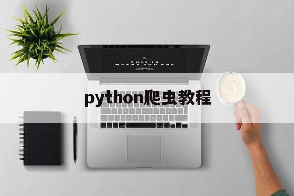 python爬虫教程（python爬虫教程非常详细）