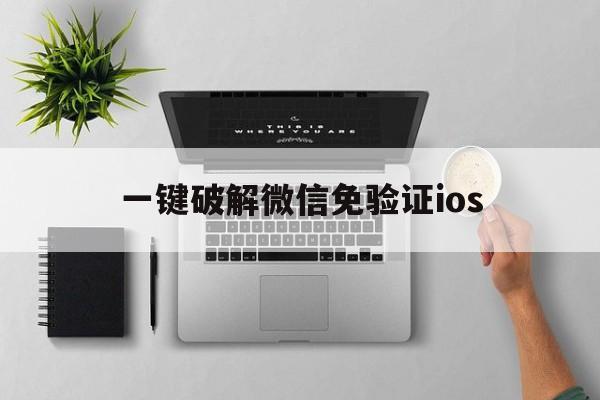 一键破解微信免验证ios（一键破解微信免验证）