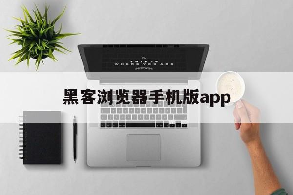 黑客浏览器手机版app（手机版黑客软件网站）