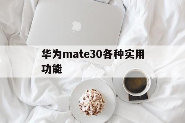 华为mate30各种实用功能（华为mate30pro特色功能）