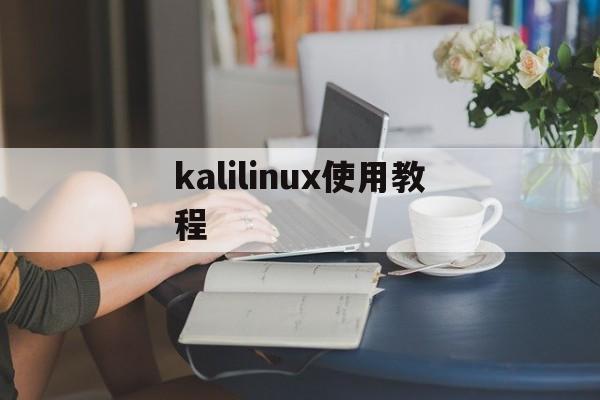 kalilinux使用教程（kalilinux怎么安装）