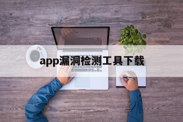 app漏洞检测工具下载（web漏洞检测工具）