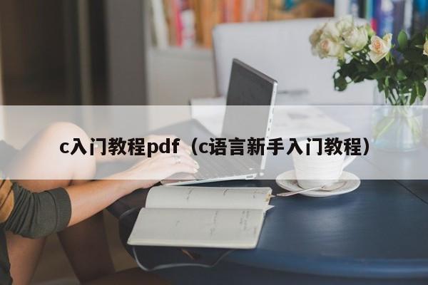 c入门教程pdf（c语言新手入门教程）