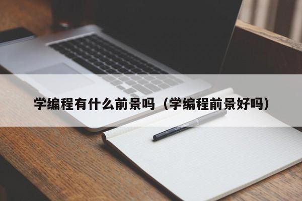 学编程有什么前景吗（学编程前景好吗）