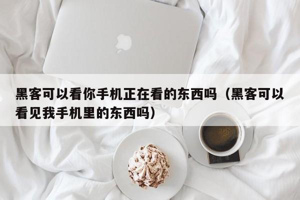 黑客可以看你手机正在看的东西吗（黑客可以看见我手机里的东西吗）