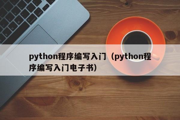 python程序编写入门（python程序编写入门电子书）