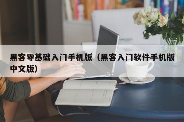 黑客零基础入门手机版（黑客入门软件手机版中文版）