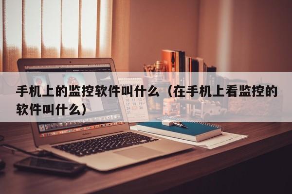 手机上的监控软件叫什么（在手机上看监控的软件叫什么）