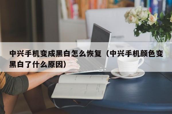 中兴手机变成黑白怎么恢复（中兴手机颜色变黑白了什么原因）