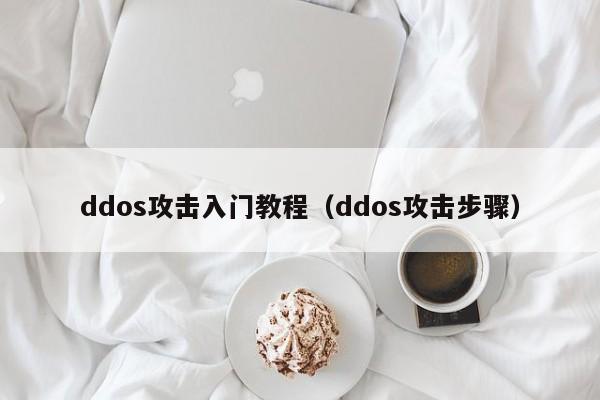 ddos攻击入门教程（ddos攻击步骤）