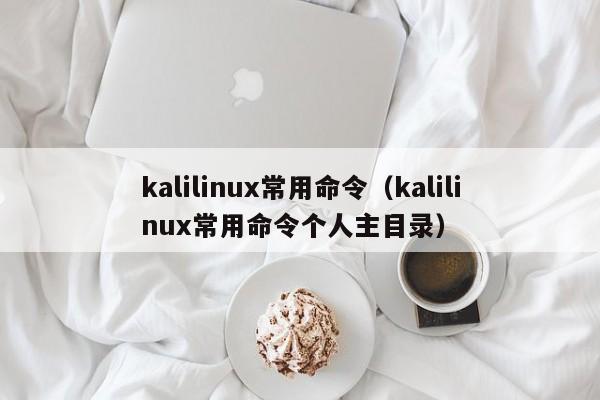 kalilinux常用命令（kalilinux常用命令个人主目录）