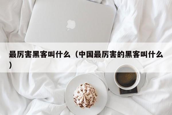 最厉害黑客叫什么（中国最厉害的黑客叫什么）