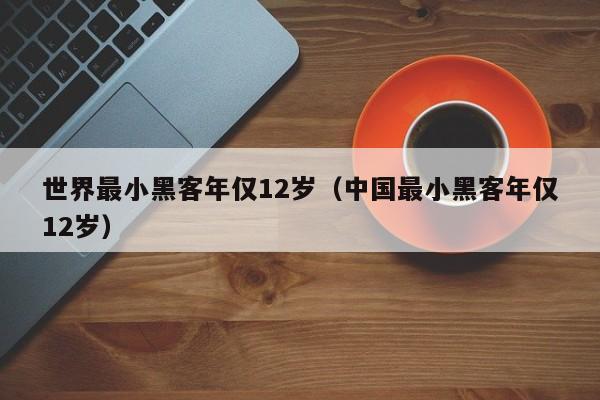 世界最小黑客年仅12岁（中国最小黑客年仅12岁）