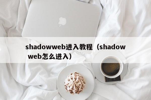 shadowweb进入教程（shadow web怎么进入）