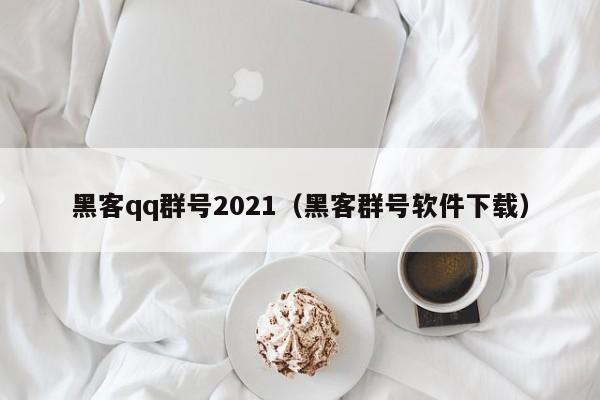 黑客qq群号2021（黑客群号软件下载）