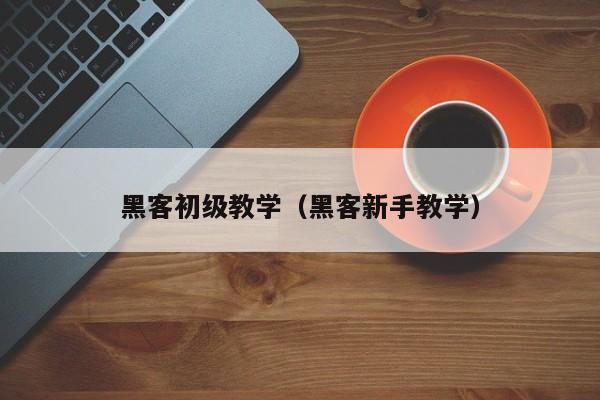 黑客初级教学（黑客新手教学）