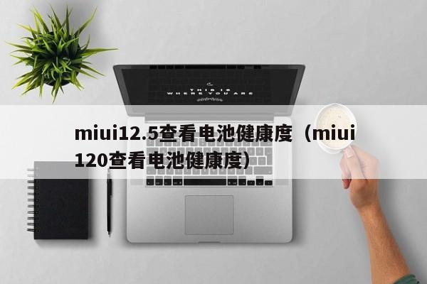 miui12.5查看电池健康度（miui120查看电池健康度）