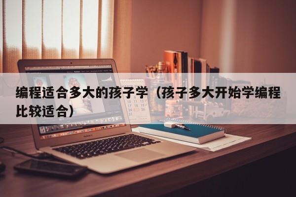 编程适合多大的孩子学（孩子多大开始学编程比较适合）