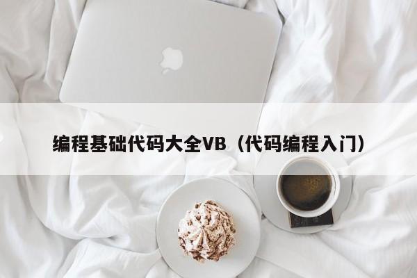 编程基础代码大全VB（代码编程入门）