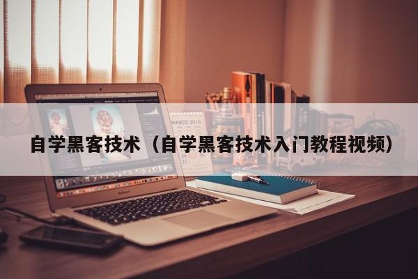 自学黑客技术（自学黑客技术入门教程视频）