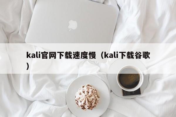 kali官网下载速度慢（kali下载谷歌）