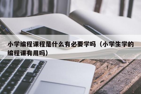 小学编程课程是什么有必要学吗（小学生学的编程课有用吗）