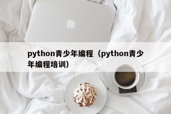 python青少年编程（python青少年编程培训）