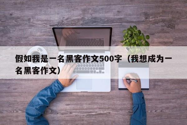 假如我是一名黑客作文500字（我想成为一名黑客作文）