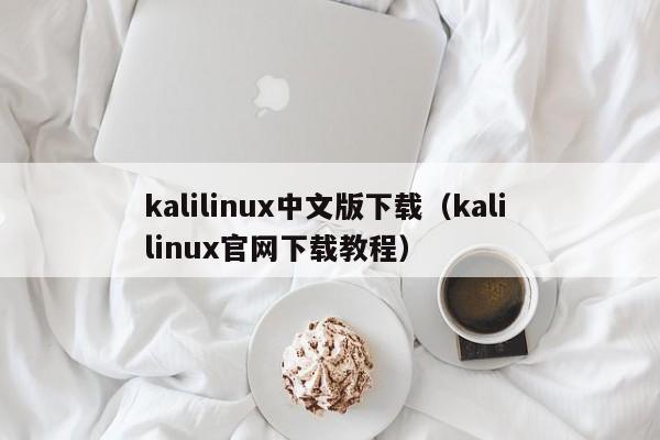 kalilinux中文版下载（kali linux官网下载教程）