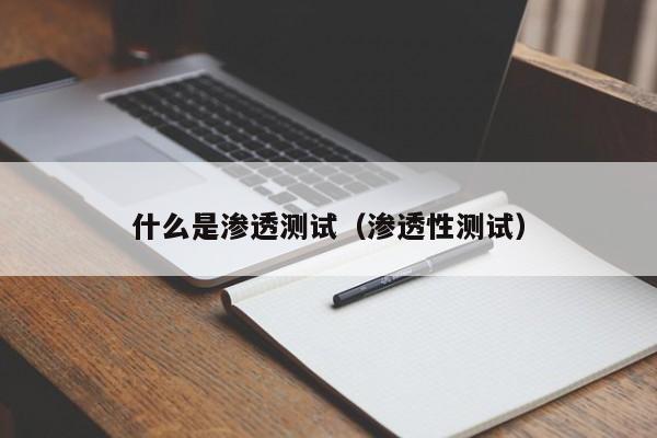 什么是渗透测试（渗透性测试）