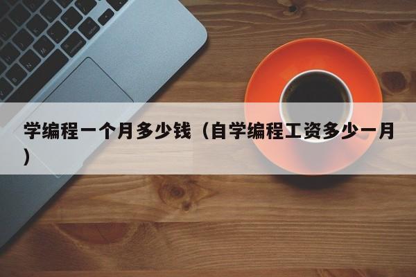 学编程一个月多少钱（自学编程工资多少一月）