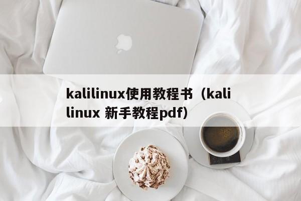 kalilinux使用教程书（kali linux 新手教程pdf）