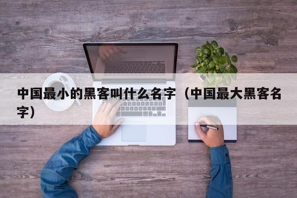 中国最小的黑客叫什么名字（中国最大黑客名字）