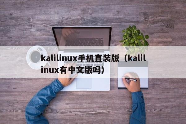 kalilinux手机直装版（kalilinux有中文版吗）