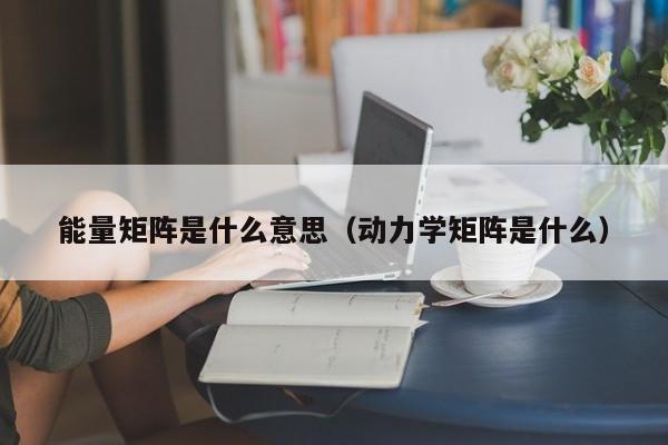 能量矩阵是什么意思（动力学矩阵是什么）