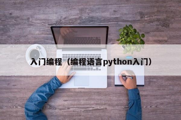 入门编程（编程语言python入门）