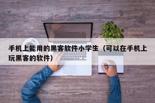 手机上能用的黑客软件小学生（可以在手机上玩黑客的软件）